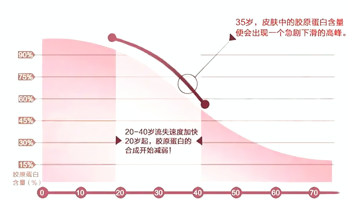 膠原蛋白下降圖.png