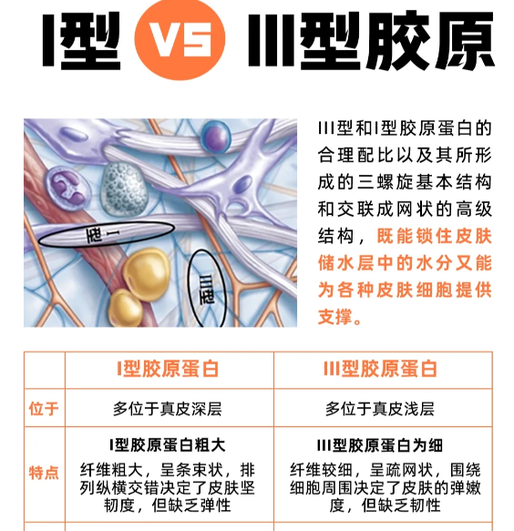 配圖4.png